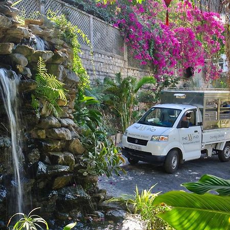 The Wind Resort - Tropical Hillside Escape Vung Tau Exteriör bild